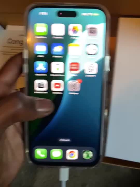 iPhone 15 Plus Black 256GB (Unlocked) – Plug