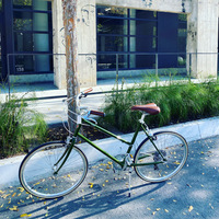 Bisou, Moss Green | tokyobike