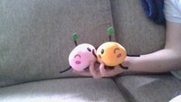 Stardew