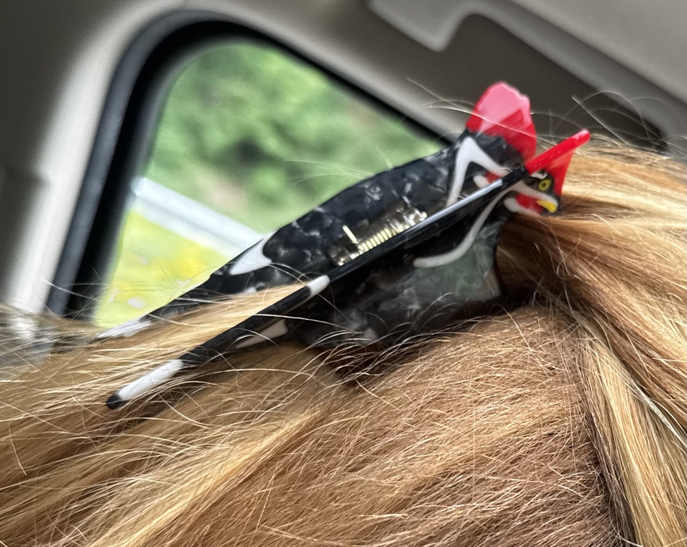 Woodpecker Hair Claw | Eco-Friendly Acetate Hair Clip | Larissa Loden