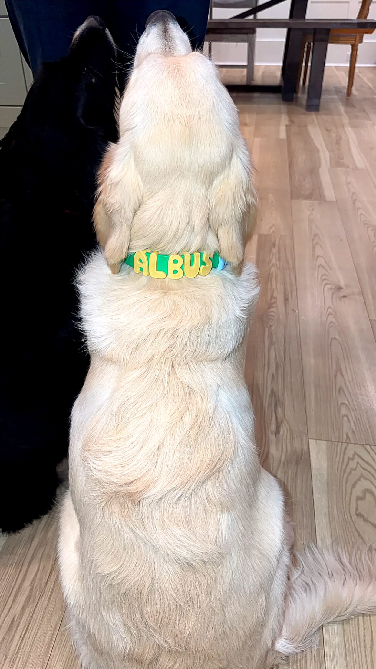 Customer photo from Tiffany D.