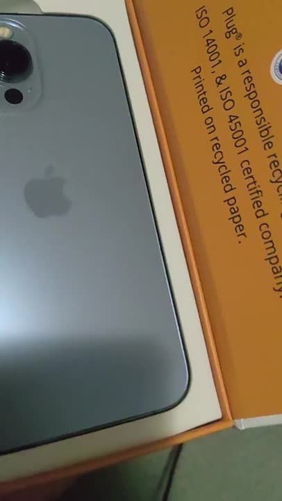 iPhone 13 Pro Graphite 256GB (Unlocked) – Plug