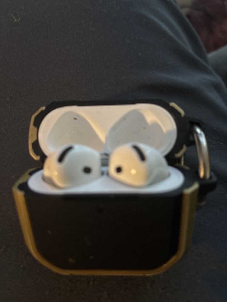 AirPods Pro (2nd generation) - Lightning Case – Plug