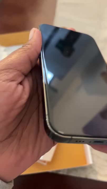 iPhone 13 Pro Graphite 256GB (Unlocked) – Plug