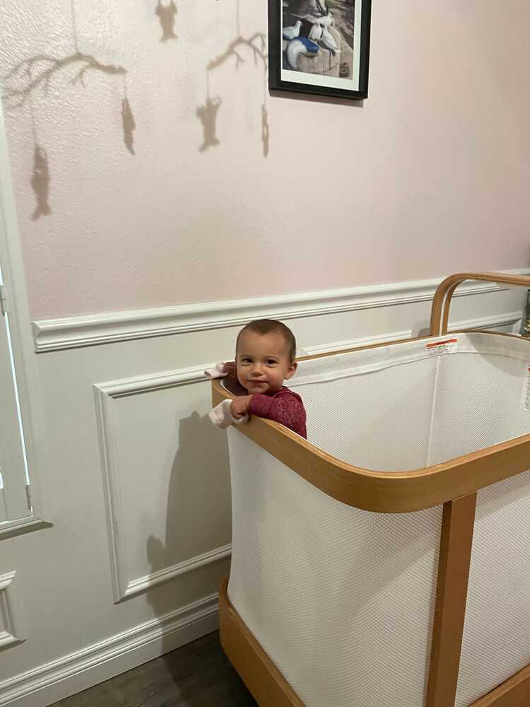 cradlewise smart crib reviews