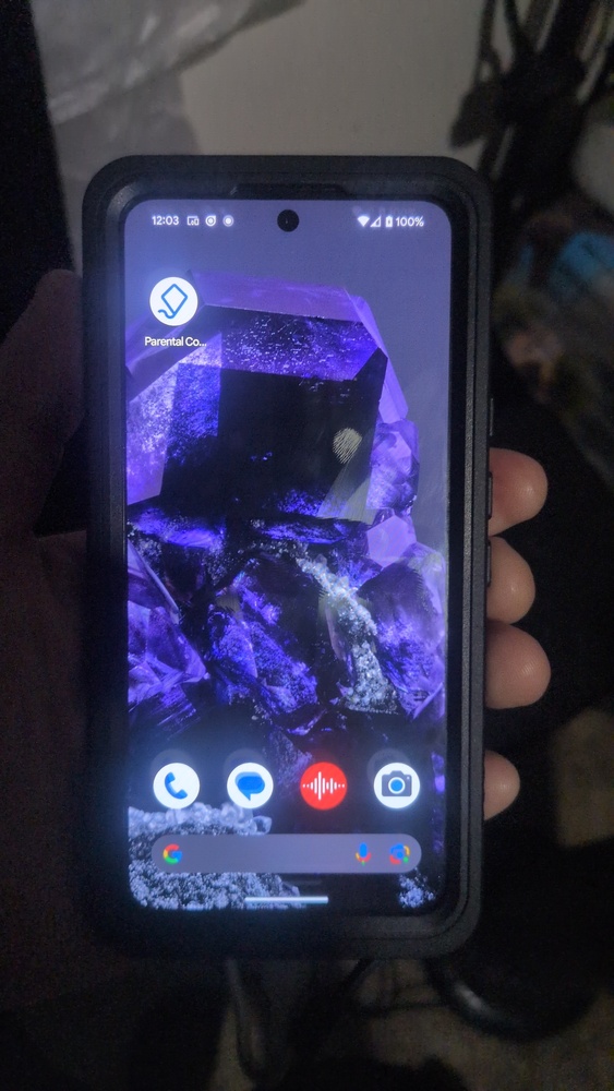 Google Pixel 8 Pro Obsidian 256GB (Unlocked) – Plug