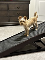 The paw clearance ramp reviews