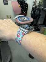 Party Animal | Apple Watch Bands – Solace Bands
