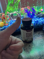 Blood Sugar Health Bundle