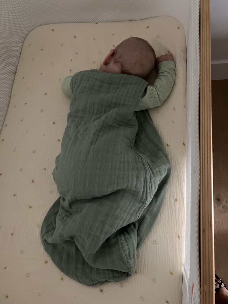 cradlewise smart crib reviews