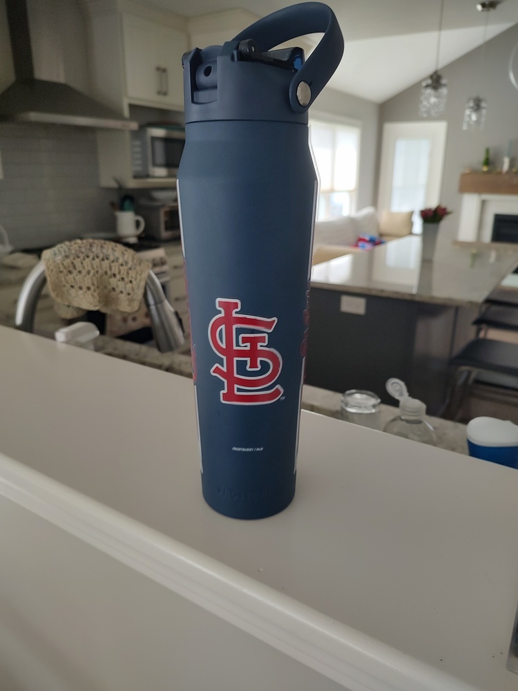 Borraccia Termica Corkcicle Da 1,18L Con Manico E Cannuccia – Florida State Seminoles – Tazza Da Viaggio In Acciaio Inox, Mantiene Le Bevande Fredde Per 20 Ore (ideale Per Università, Sport E Ufficio)
