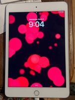 iPad Mini 6 256GB Pink (Cellular + Wifi) – Plug
