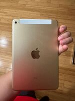 iPad Mini 4 16GB Gold (Cellular + Wifi) – Plug